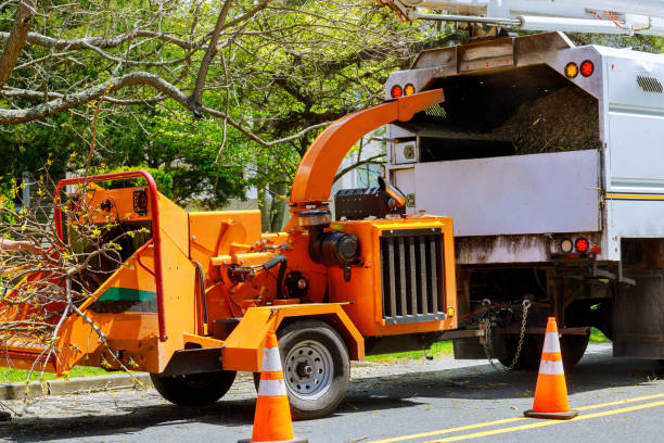 Mulching Services in Madison, WI